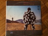 pink floyd delicate sound of thunder album dublu disc vinyl 2 lp discuri muzica prog rock EMI melodia records urss 1988 gatefold VG+