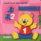 Joacă-te și descoperă&hellip; Numerele - Board book - *** - Girasol