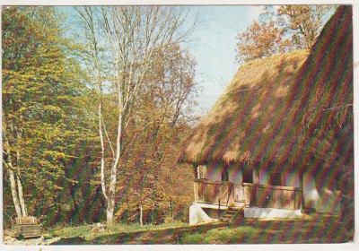 bnk cp Sibiu - Muzeul etnografic - necirculata foto