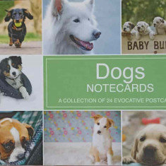 DOGS NOTECARDS. A COLLECTION OF 24 EVOCATIVE POSTCARDS-COLECTIV