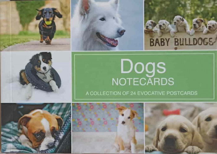 DOGS NOTECARDS. A COLLECTION OF 24 EVOCATIVE POSTCARDS-COLECTIV