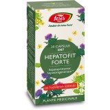 Hepatofit Forte D80, 30 capsule, Fares