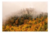Tablou Canvas cu Peisaj Montan de Toamnă, , Multicolor, 39 x 26 cm, CMCLASS