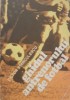 Ghidul Antrenorului De Fotbal - Victor Stanculescu