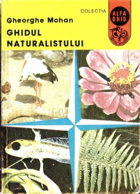 Ghidul naturalistului foto