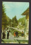 CPIB 19564 CARTE POSTALA - SLANIC MOLDOVA. VEDERE DIN PARC, RPR, Circulata, Fotografie