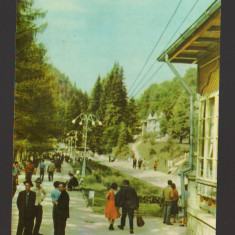 CPIB 19564 CARTE POSTALA - SLANIC MOLDOVA. VEDERE DIN PARC, RPR