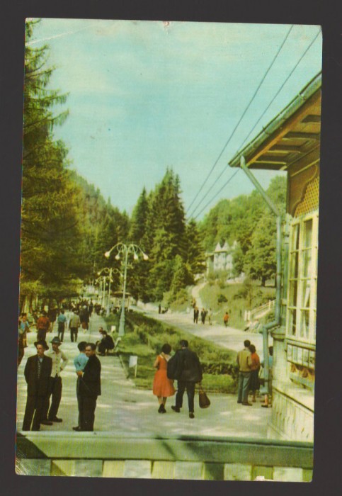 CPIB 19564 CARTE POSTALA - SLANIC MOLDOVA. VEDERE DIN PARC, RPR