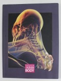 EXPOZITIA THE HUMAN BODY , 2013