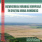 Dezvoltarea durabila complexa in spatiul rural romanesc. Studiu de caz: Regiunea Sud-Muntenia