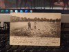 Doi v&acirc;nători și un pointer englez, V&acirc;nătoare, circulație 11 dec. 1903, 205, Circulata, Printata