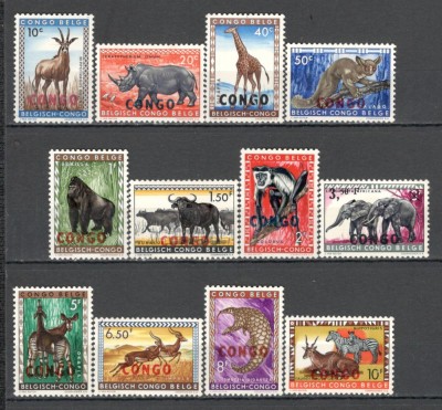 R.P.D.Congo.1960 Animale-supr. GX.33 foto