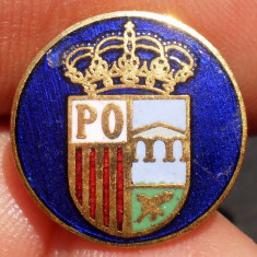 I.510 INSIGNA REGALISTA PIN EMBLEMA SCUT 15mm email