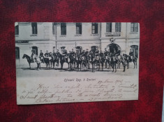 1903-C.P.circ.-Oficerii reg. 8 Rosiori-RARA foto