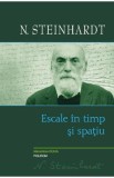 Escale in timp si spatiu - Nicolae Steinhardt, 2021