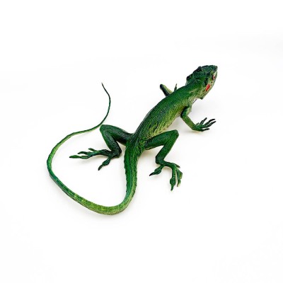 Cameleon Fals cubanez figurina 23 cm foto