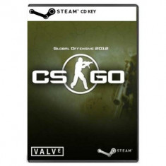 Counter Strike Global Offensive CD Key foto