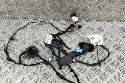 Cablaj ușă st&amp;acirc;nga spate AUDI Q7 4M 2016 OEM: 4M0971687FF 28423995 foto