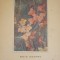 Note despre pictura - N. N. Tonitza