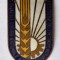 Congresul uniunii nationale a cooperativelor agricole de productie insigna 1960