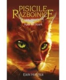 Apus de soare. Seria Pisicile razboinice. Noua profetie. Volumul 12/Erin Hunter, Galaxia Copiilor