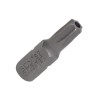 Varfuri TORX 27 cu gaura RICHMANN EXCLUSIVE GartenVIP DiyLine - Scule de mana, surubelnite, bricolaj, gradinarit