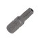 Varfuri TORX 27 cu gaura, RICHMANN EXCLUSIVE GartenVIP DiyLine