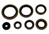 Set simeringuri motor KTM EXC 250 300 17- 23 TPI (P400270400083) Enduro Expert 8023EE