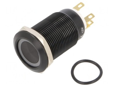 Comutator Anti-Vandalism IP65 SPDT 3A/220VAC 5A/24VDC foto