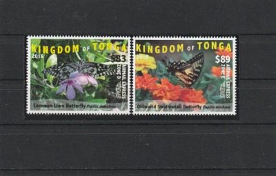Tonga 2016 - Fauna , Insecte , Fluturi , serie 2 valori , dantelate , MNH , Mi.2048-2049 foto