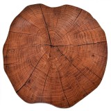 Suport Farfurii Rotund, Trunchi de Copac, Diametru 38cm, Maro, Oem