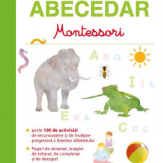 Primul meu abecedar Montessori - Paperback brosat - Iuliana Ionescu - Litera mică
