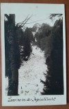 Carte postala, Busteni, Valea Jepilor, perioada interbelica