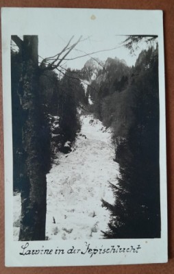 Carte postala, Busteni, Valea Jepilor, perioada interbelica foto
