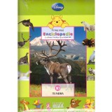 Winnie Ursuletul si prietenii sai. Vol.10 Tundra - 137613