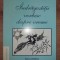 Indragostitii vorbesc despre vreme- Nicolae Claudiu Solcan