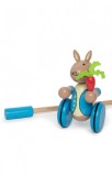 Jucarie de impins Peter Rabbita, z , Orange Tree Toys