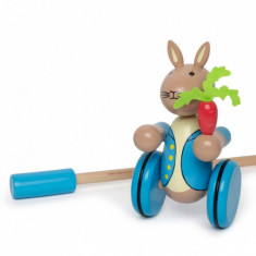 Jucarie de impins Peter Rabbita, z , Orange Tree Toys