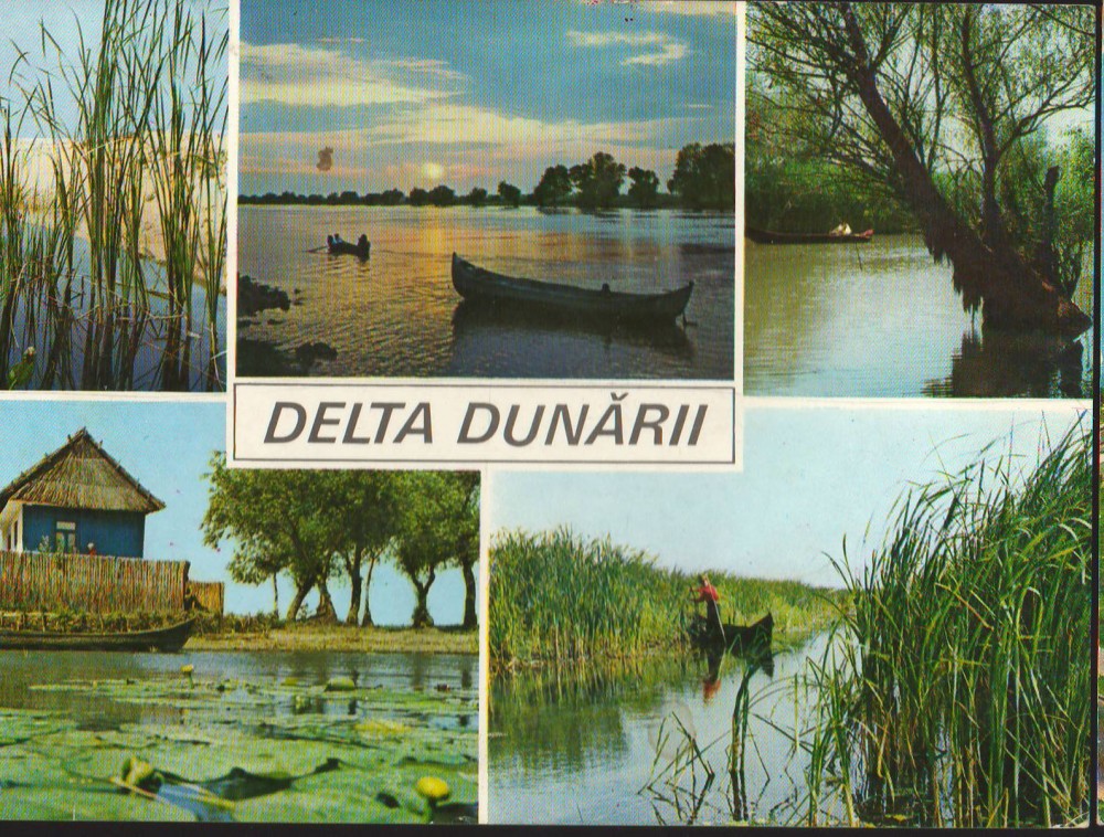 CPIB 16598 CARTE POSTALA - DELTA DUNARII, MOZAIC, Circulata, Fotografie |  Okazii.ro