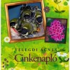 Cinkenapl&oacute; - Telegdi &Aacute;gnes