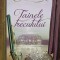 TAINELE TRECUTULUI-AMANDA QUICK-227214