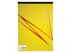 Blocnotes capsat tip A4,liniatura matematica,50 file,60g mp