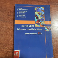 Matematica.Culegere de exercitii si probleme pentru clasa aXI a - M.Tena,etc