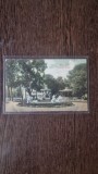 Carte Postala - Cluj. Fantana si statui, din parc