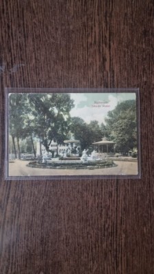 Carte Postala - Cluj. Fantana si statui, din parc foto