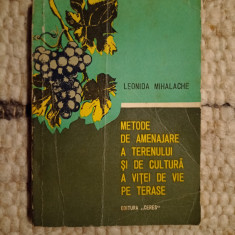 Metode de amenajare a terenului şi de cultură a viţei de vie pe terase