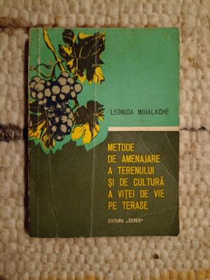 Metode de amenajare a terenului şi de cultură a viţei de vie pe terase foto