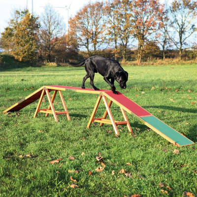 Obstacol de agilitate pentru c&amp;acirc;ini, b&amp;acirc;rnă Dog Activity 456 x 64 x 30cm foto