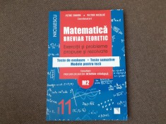 MATEMATICA BREVIAR TEORETIC CLASA A XI M2 EXERCITII SI PROBLEME REZOLVATE PETRE SIMION