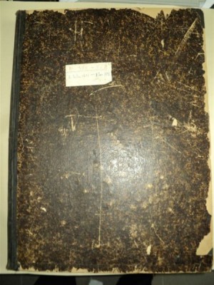 ZIARUL BUCHAREST, ANUL II, Nr. 425 - 567, 2 IULIE 1891 -1 IANUARIE 1892 foto